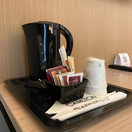 酒店 卡尔顿酒店 3*